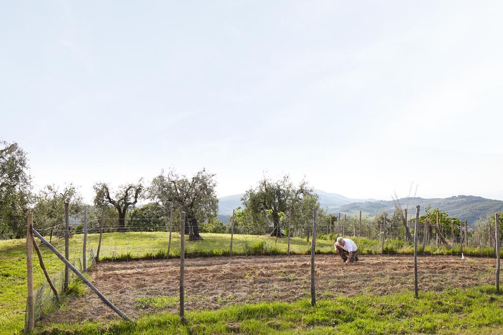 Podere La Casuccia Malmantile Room photo